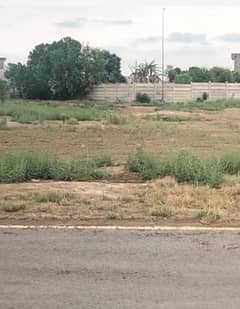 kanal cheap plot available on ground carpeted road