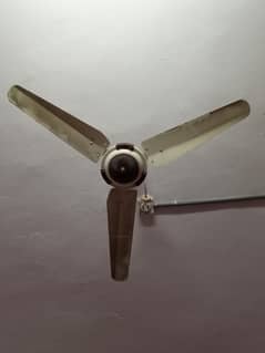 ok fan
