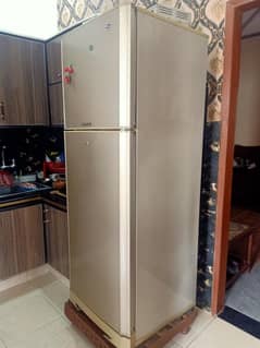 Pel company fridge for sale contact. 03020452435