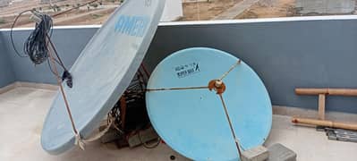 dish antina amercan