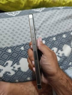 iphone 16 pro max with mint condition