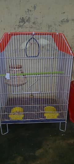 love birds 1pair with iron cage
