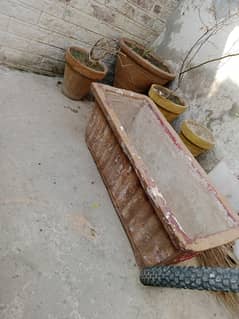 gamly / kiyari for sale