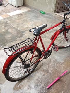 phonix cycle 26 inche