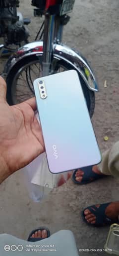 Vivo