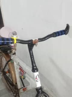 best cycle