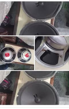 12 inch seavy speaker pair.