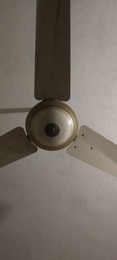cieling