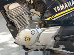 Yamaha YBR g 125CC 0323<871>41×35 Only Watsap
