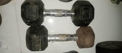 8kg dumble pair