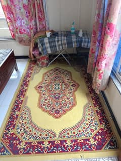 2 Same Design Carpet Available