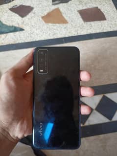 vivo