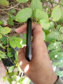iPhone se 2020