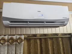 Haier