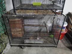 first time use cage for sale