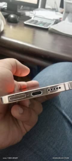 vivo
