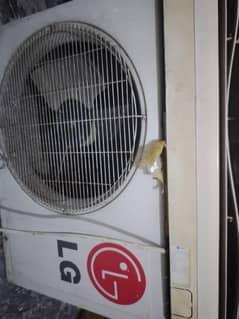 LG