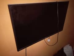 orient LED
