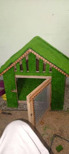 cat House