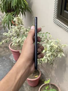 iphone 7 plus pta approved