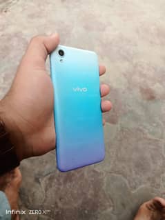 vivi
