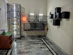 Birds Setup for Sale  (Birds, Cages, Accessories)
