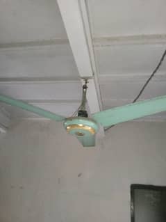 Fan for Sale