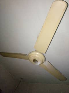 Fan For Sale