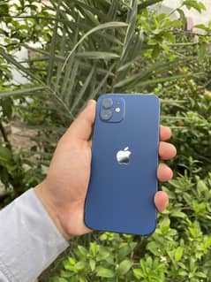 iphone 12 All ok water pack