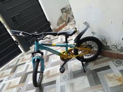 Original
