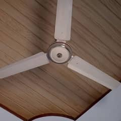 ceiling fan
