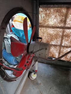 Cooler for sale