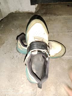 CA Gripper cricket brand contact number 03007197531