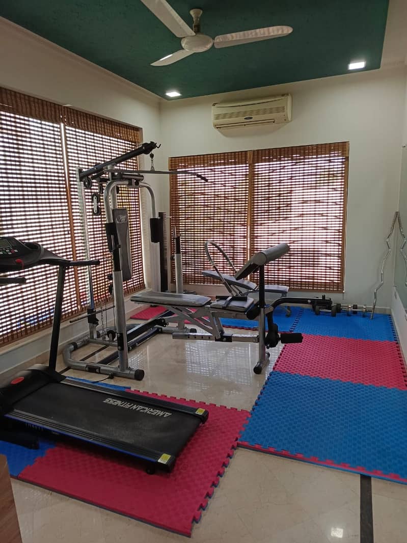 Multiple Exercise Machine|Treadmill|weights plates|bicep dumbbells 1