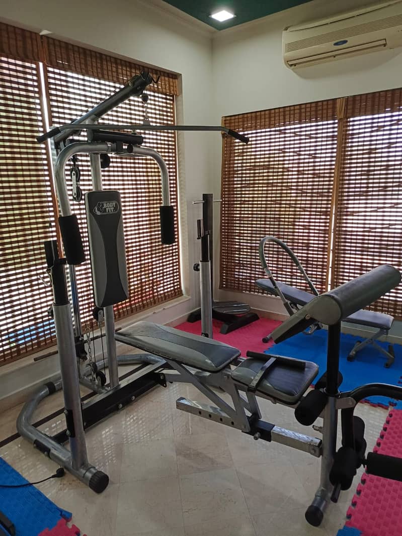 Multiple Exercise Machine|Treadmill|weights plates|bicep dumbbells 2
