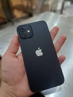 iPhone 12 jv