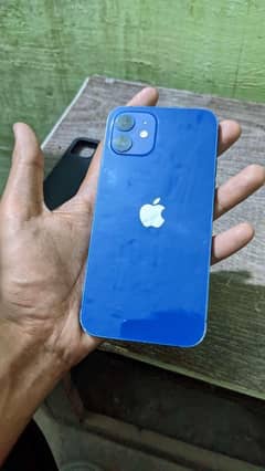 Iphone 12. /64gb