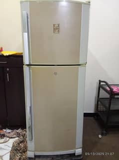 dowlenc refrigerator