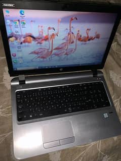 HP