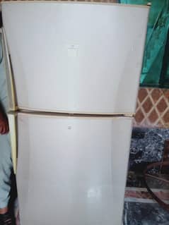 Dawlanc refrigerator big size