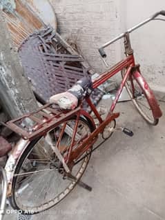 Sohrab Cycle for Sale