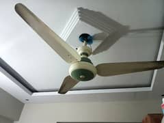 Ac DC fan