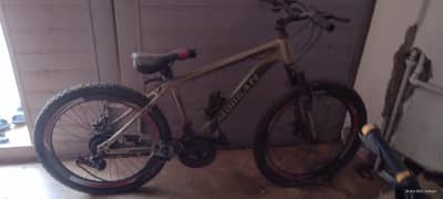 Imported Bicycle