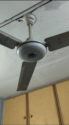 Ceiling fan