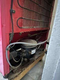 singer Elegance Fridge
