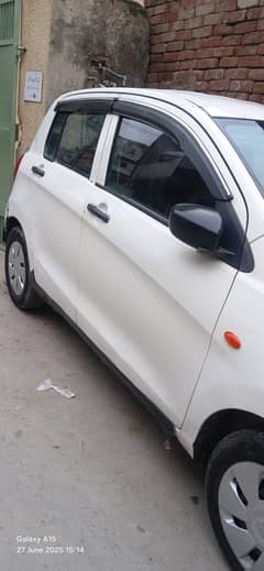 Suzuki caltus