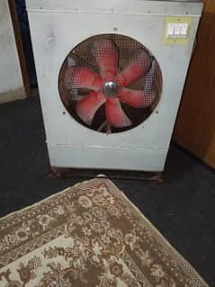 medium size air colour