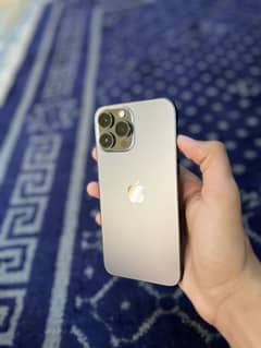13pro