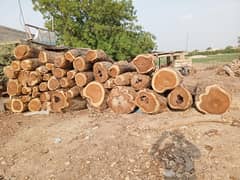 Black Shesham wood