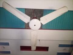 4 fans      03228424829.  WhatsApp